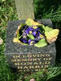 image number Harris Ronald 082
